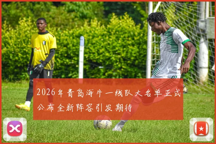 2026年青岛海牛一线队大名单正式公布全新阵容引发期待