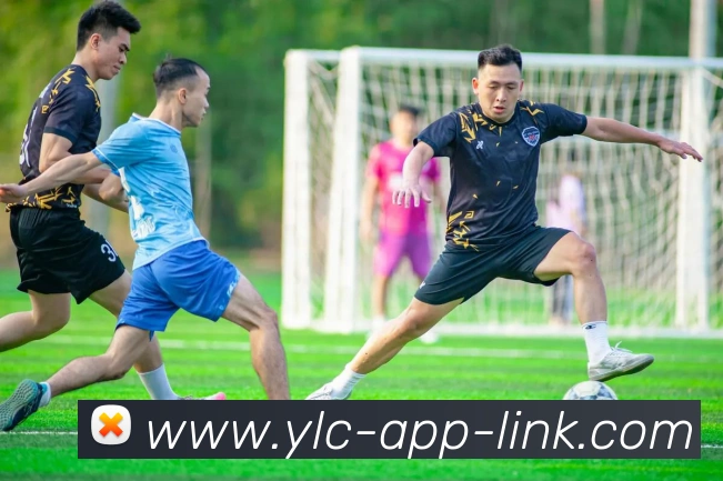 娱乐城app发展历程